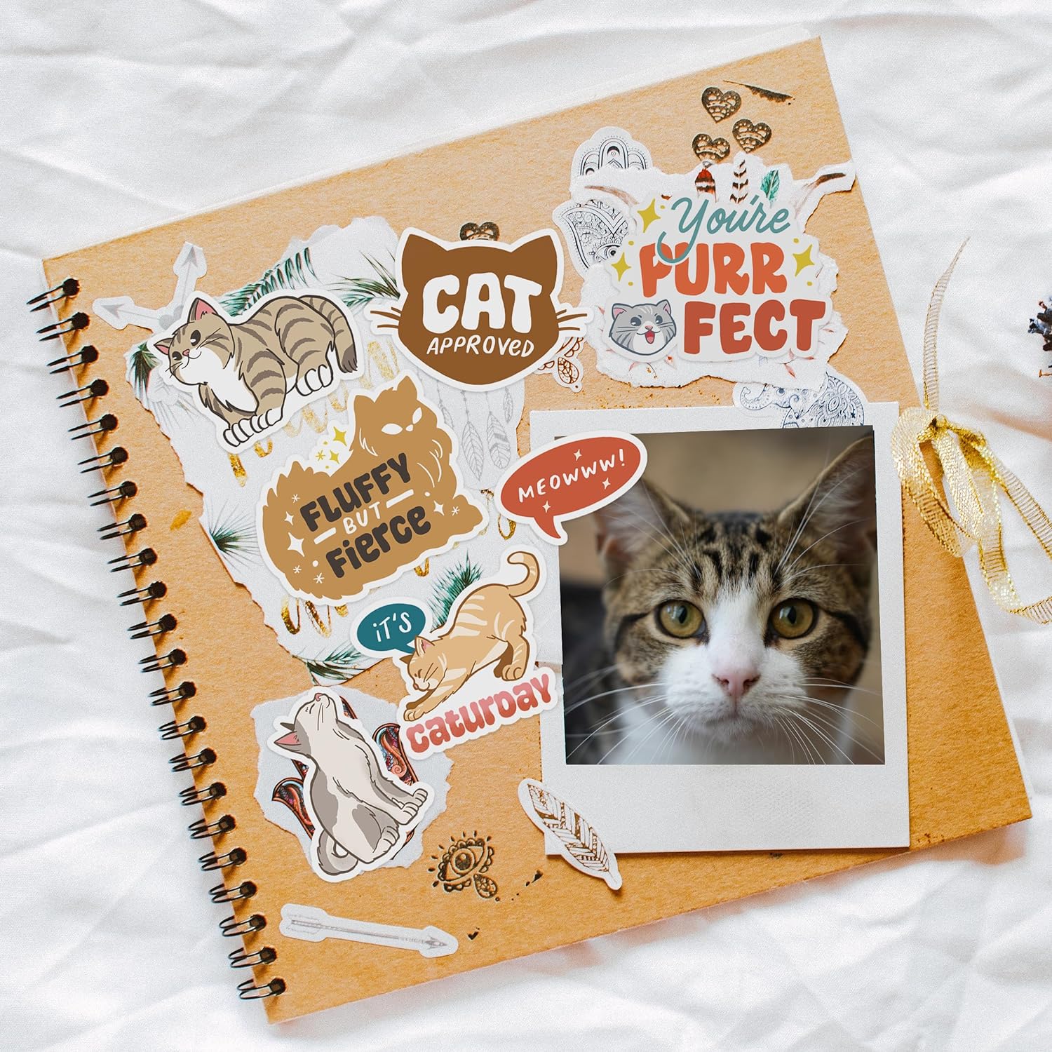 Curious Cat Stickers (24 Pieces)