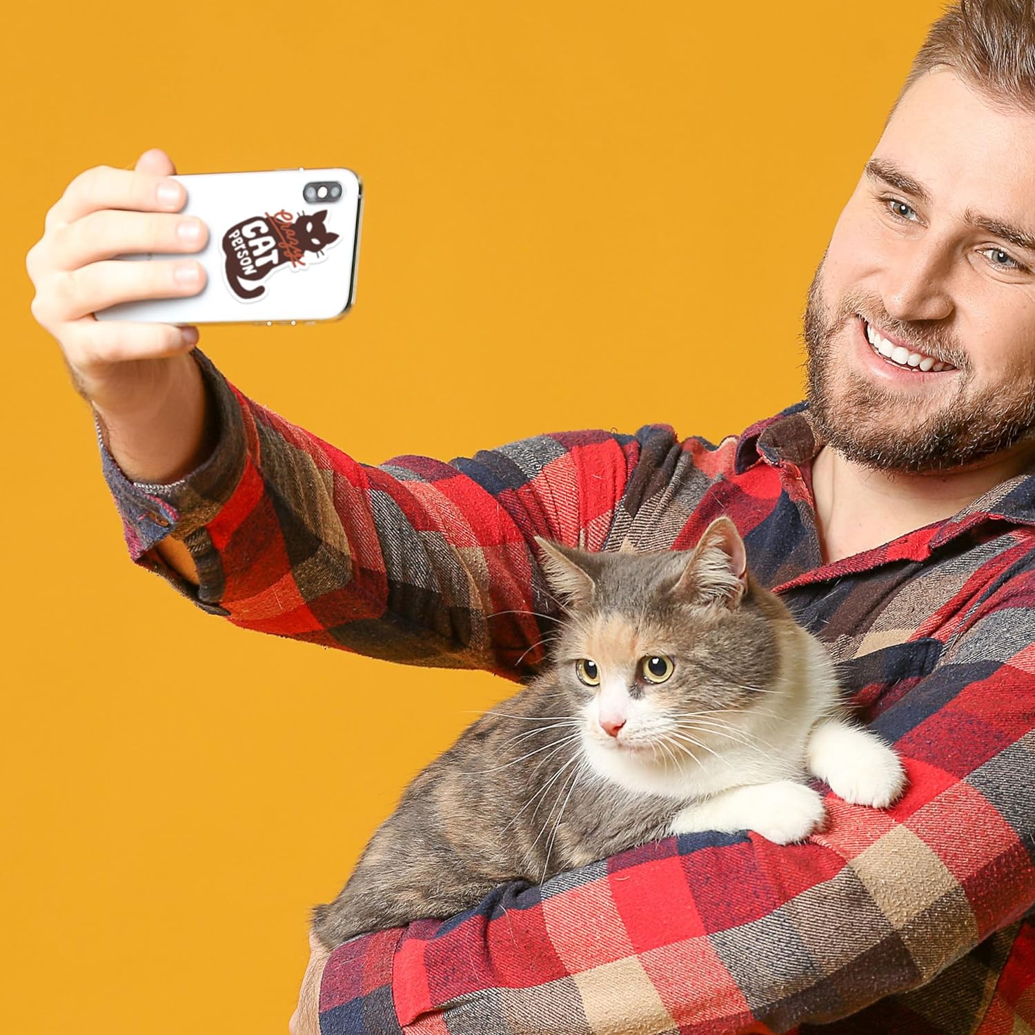 Curious Cat Stickers (24 Pieces)