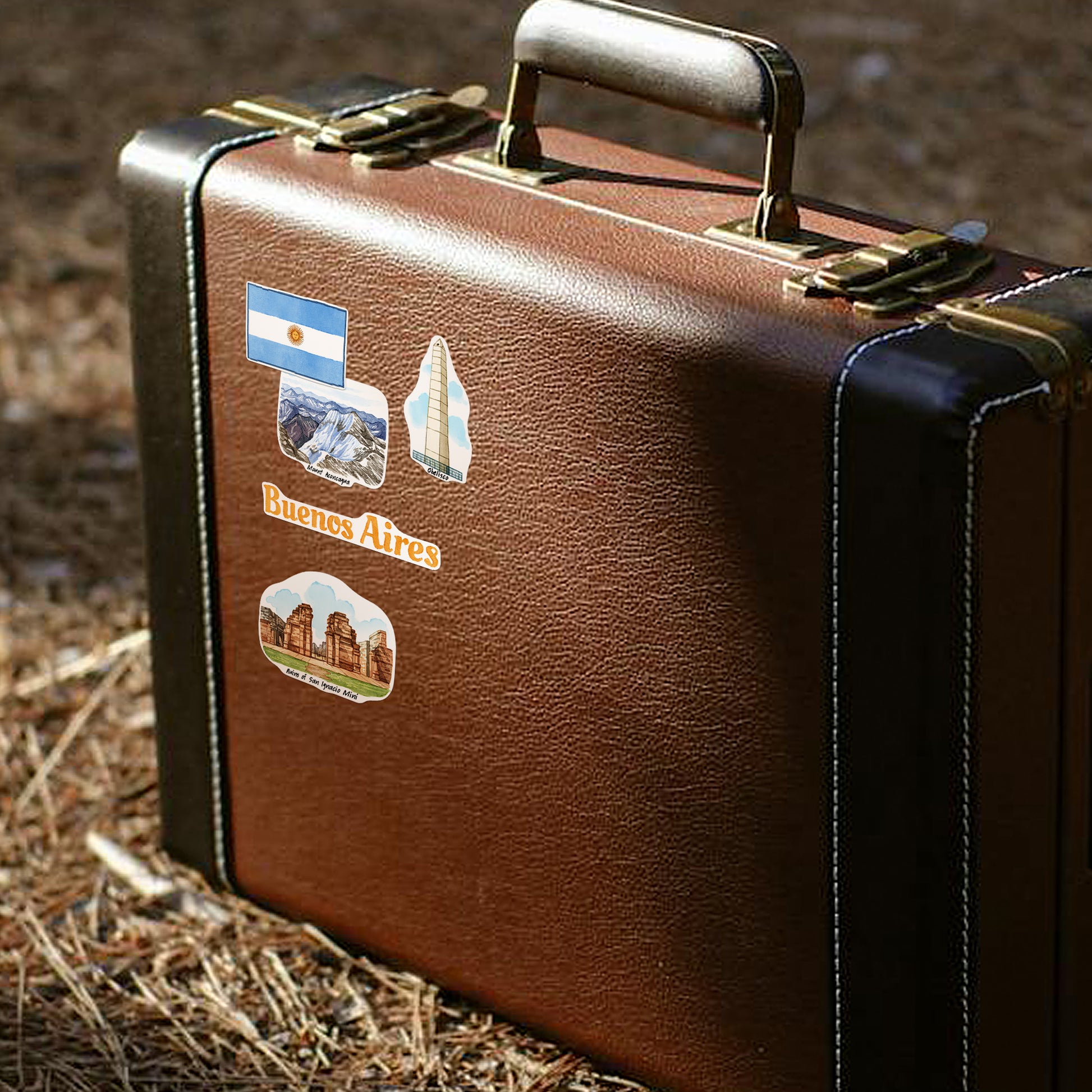 Alluring Argentina Travel Stickers (28pcs)