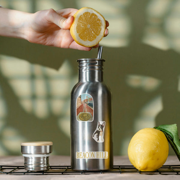 Historic Boston Travel Stickers (28pcs)