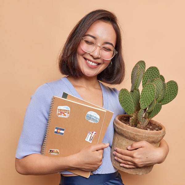 Cozy Colorado State Travel Stickers (28pcs)