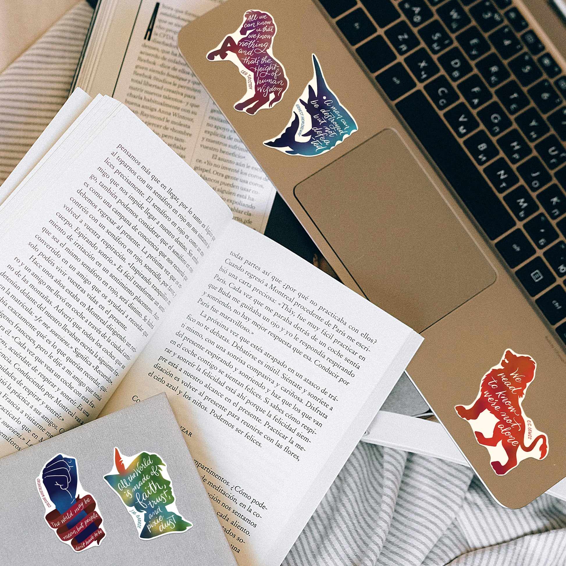 Famous Book Inspirational Quotes by Writers for Book Lovers, Laptop and Water Bottle