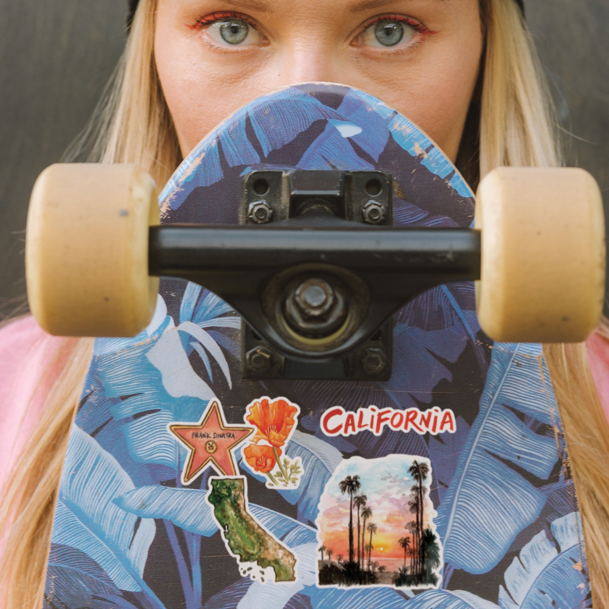 Sunny California State Travel Stickers (27pcs)