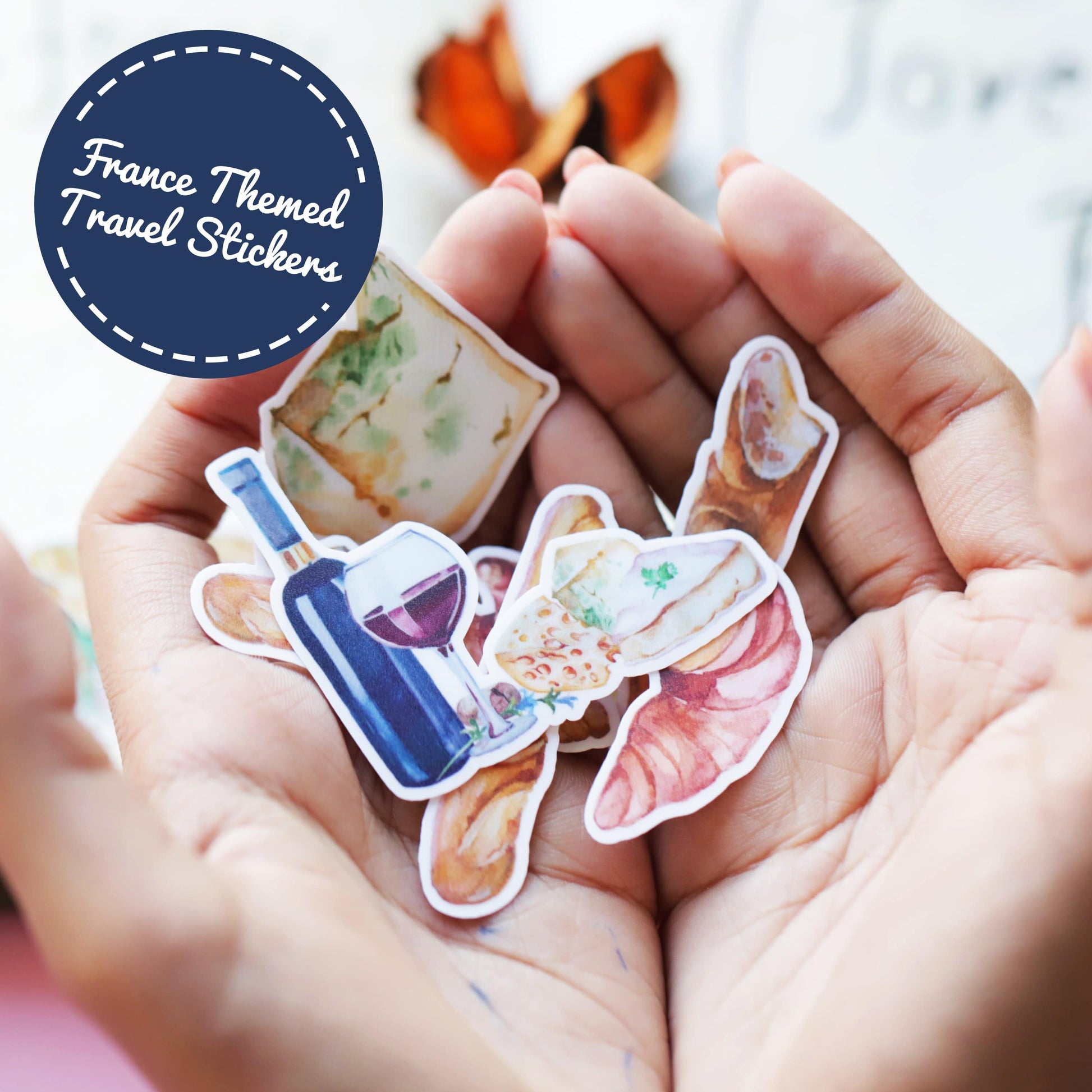 Navy Peony France Travel Stickers (31 pcs) - Navy Peony